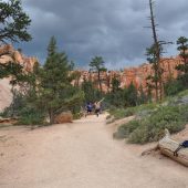  Bryce Canyon